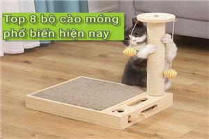 [TOP] 8 loại trụ, bàn cào móng cho mèo phổ biến sen dễ tìm mua