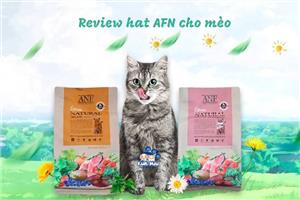 Review Hạt AFN Cho Mèo Có Tốt Không - Đánh Giá Chi Tiết