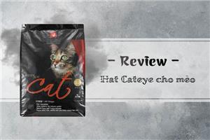 Review hạt Cateye cho mèo có tốt không? Đánh giá chi tiết