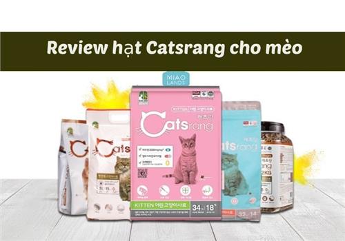 Review hạt Catsrang cho mèo có tốt không? Đánh giá thực tế