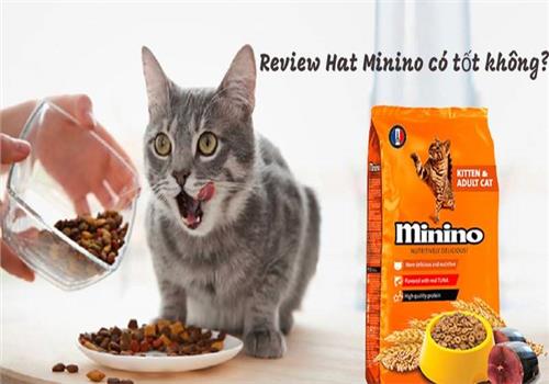 Review Hạt Minino Cho Mèo Có Tốt Không - Đánh Giá Từ Người Dùng