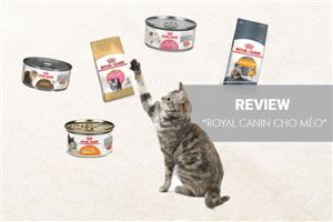 Đánh giá/Review hạt Royal Canin cho mèo có tốt không? – Chi tiết các dòng