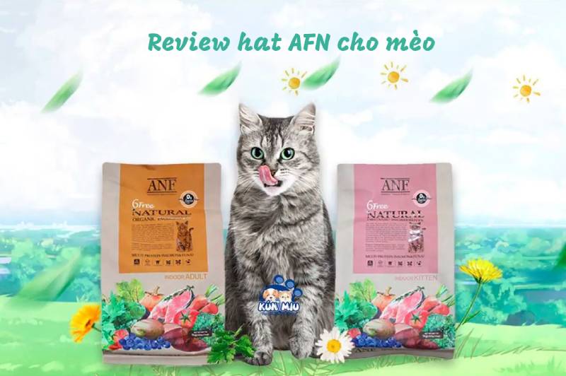 Review Hạt AFN Cho Mèo Có Tốt Không - Đánh Giá Chi Tiết