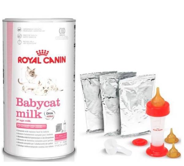 Sữa cho mèo Royal Canin Babycat Milk
