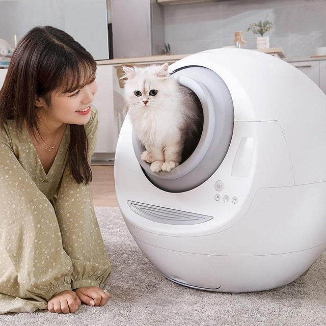 Có nên dùng máy dọn vệ sinh cho mèo không?