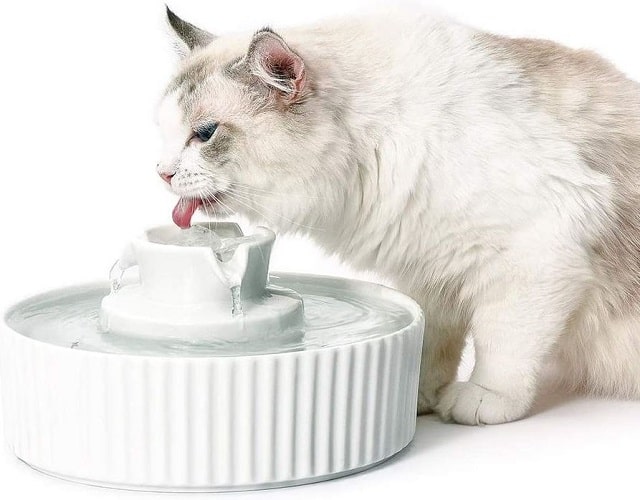 Máy lọc nước tự động cho mèo