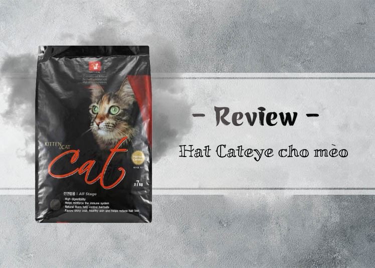 review Hạt Cateye cho mèo