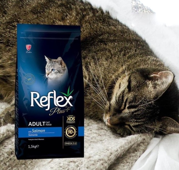 chuỗi sản phẩm hạt Reflex cho mèo con hay cho thú cưng thành 3 nhóm