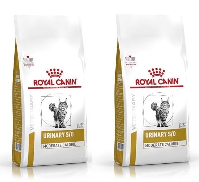 Hạt cho mèo Royal Canin Urinary
