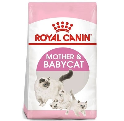 Hạt cho mèo Royal Canin Mother & Babycat