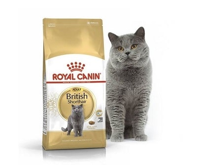 Hạt cho mèo Royal Canin British ShortHair Adult
